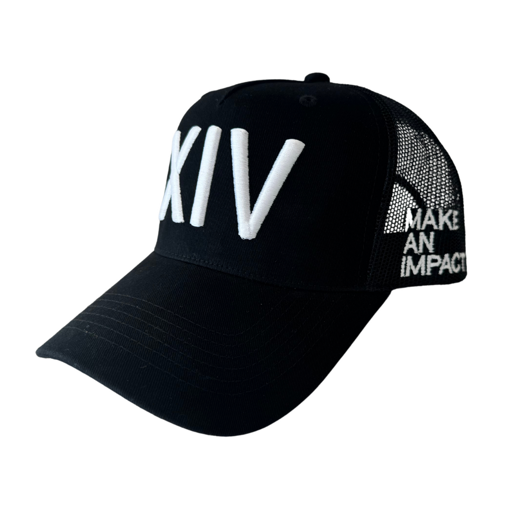 XIV - CLIMBING FOR A CAUSE HAT