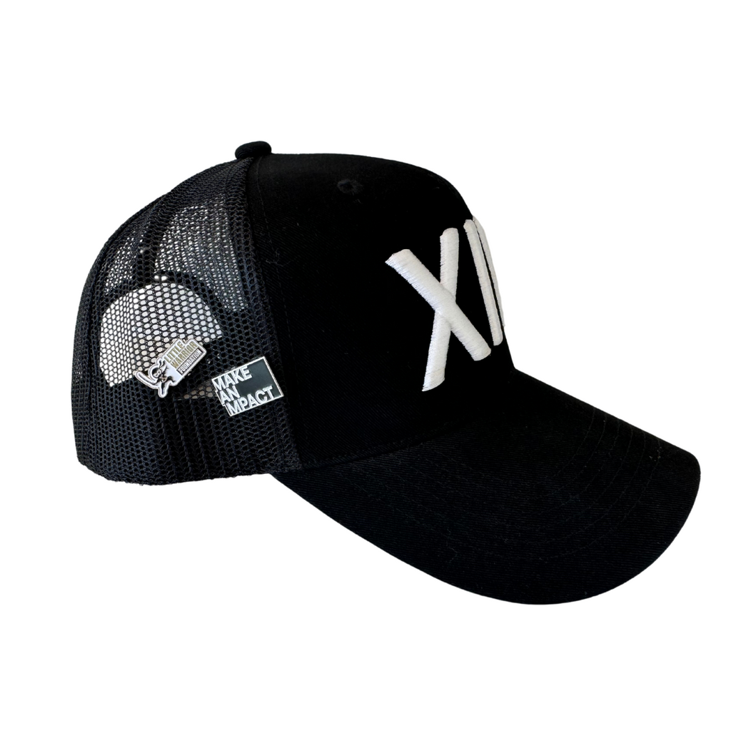 XIV - CLIMBING FOR A CAUSE HAT